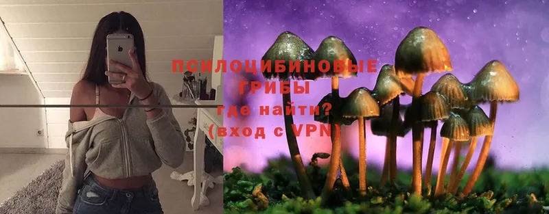 Псилоцибиновые грибы Magic Shrooms  Азнакаево 